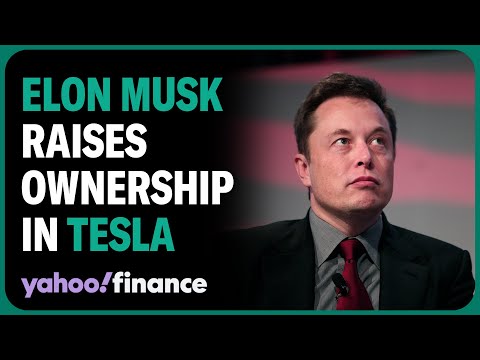 Elon Musk raises ownership of Tesla to 20.5%