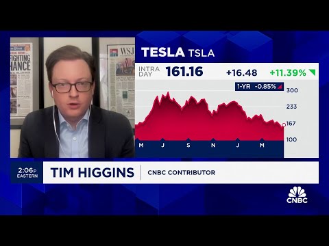 Tesla and Elon Musk fans have an optimistic outlook for company’s future, says WSJ’s Tim Higgins