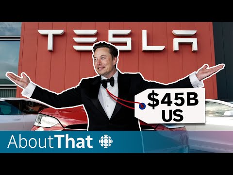 Why Tesla investors agree: Elon Musk is worth $45B | About That