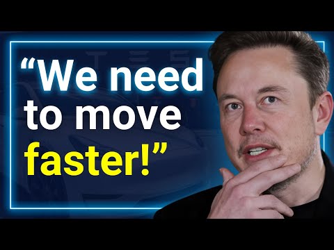 Elon Musk Drops Updates on FSD, Bot and AI