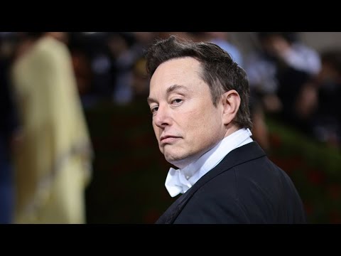 ‘Everything is possible’: Elon Musk could ‘resurrect’ MSNBC with takeover