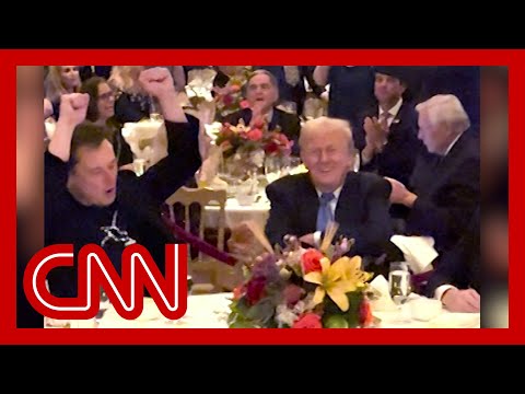 Elon Musk and Trump dance to ‘Y-M-C-A’ at Thanksgiving dinner