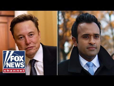 DC needs Elon Musk and other ‘outsiders’ to bring change: former reporter