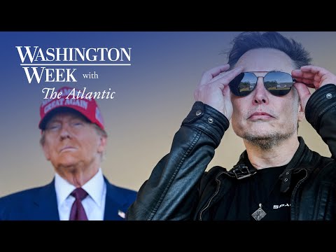 How did Elon Musk become the most powerful man in Washington?