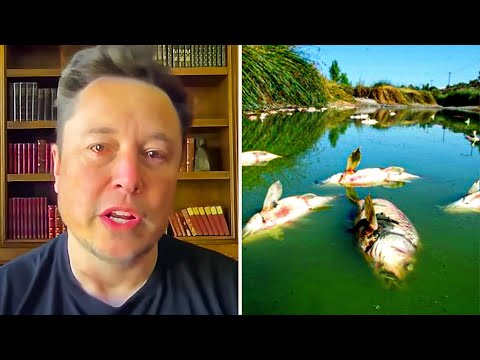Elon Musk Warns That They Are Poisoning Our Drinking Water Heavy