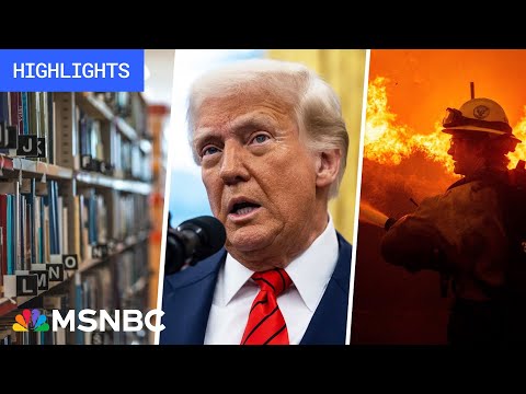 Setback to Trump, ‘President Musk’ USAID plan: Trump’s First 100 Days – Day 19 | MSNBC Highlights