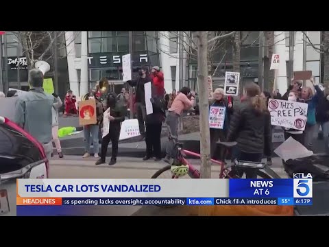 Anti-DOGE protestors gather outside Tesla stores, targeting Elon Musk’s bottom line