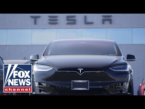 Tesla employees share what it’s like to work for Elon Musk: ‘VISION AND OPPORTUNITY’
