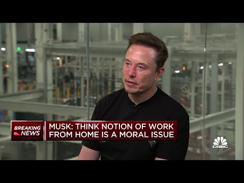 Tesla CEO Elon Elon: ‘The laptop classes is living in La-la land’ over the work-from-home
