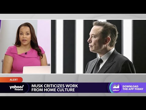 Elon Musk criticizes a work-from-home culture