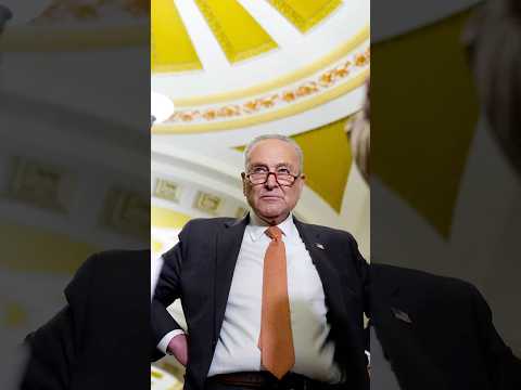 ‘I Agree With Elon Musk,’ Says Schumer on Trump Tax Bill
