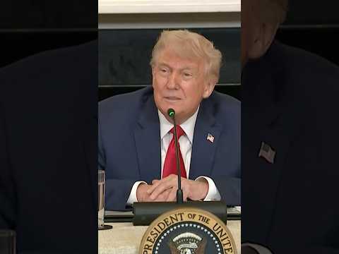 Trump Says He Never Saw Musk ‘Get Physical’ With Bessent