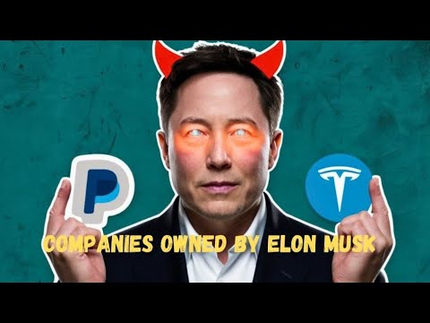 companies owned by Elon Musk