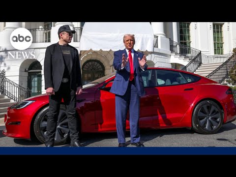 Trump slams Elon Musk’s plan to create new political party