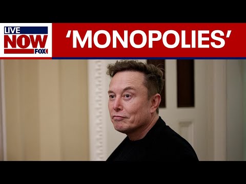 Elon Musk sues Apple, OpenAI over AI competition | LiveNOW from FOX