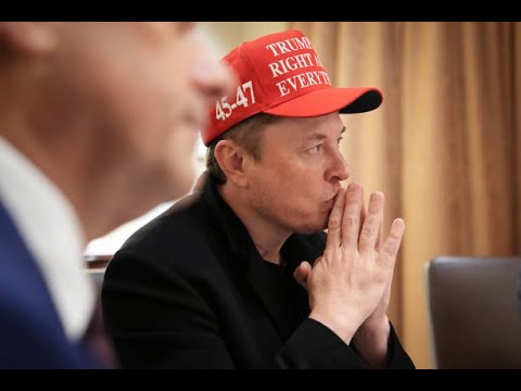 Elon Musk’s Political Motivations Are His Own, Says Tesla Chair