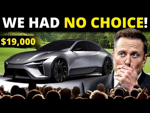 Elon Musk CONFIRMS Below $25k Tesla Car: “We DON’T Have A Choice”