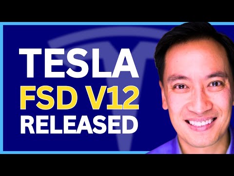 BREAKING: Elon Musk Confirms V12 FSD Released to Employees