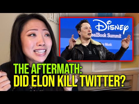 The Aftermath of Elon Musk’s Meltdown: Twitter (X) is F*cked