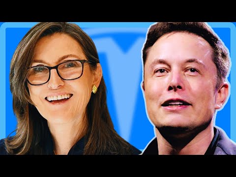 Elon Musk Drops BOMBSHELLS On Cathie Wood ARK Invest