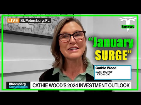 WATCH: Cathie Wood Leave Reporter Speechless + Elon Musk Interview!
