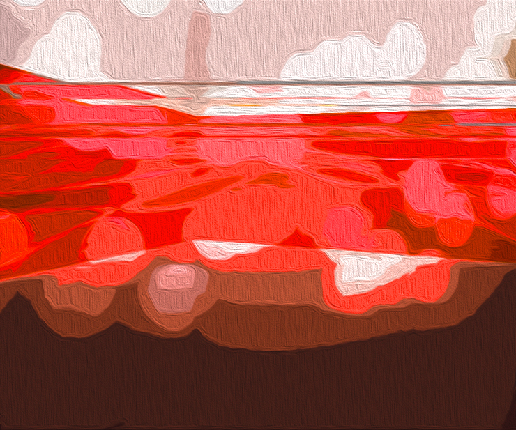 Unbiased Review of the Coddle Switch Sleeper Sofa: Your Ultimate Guide